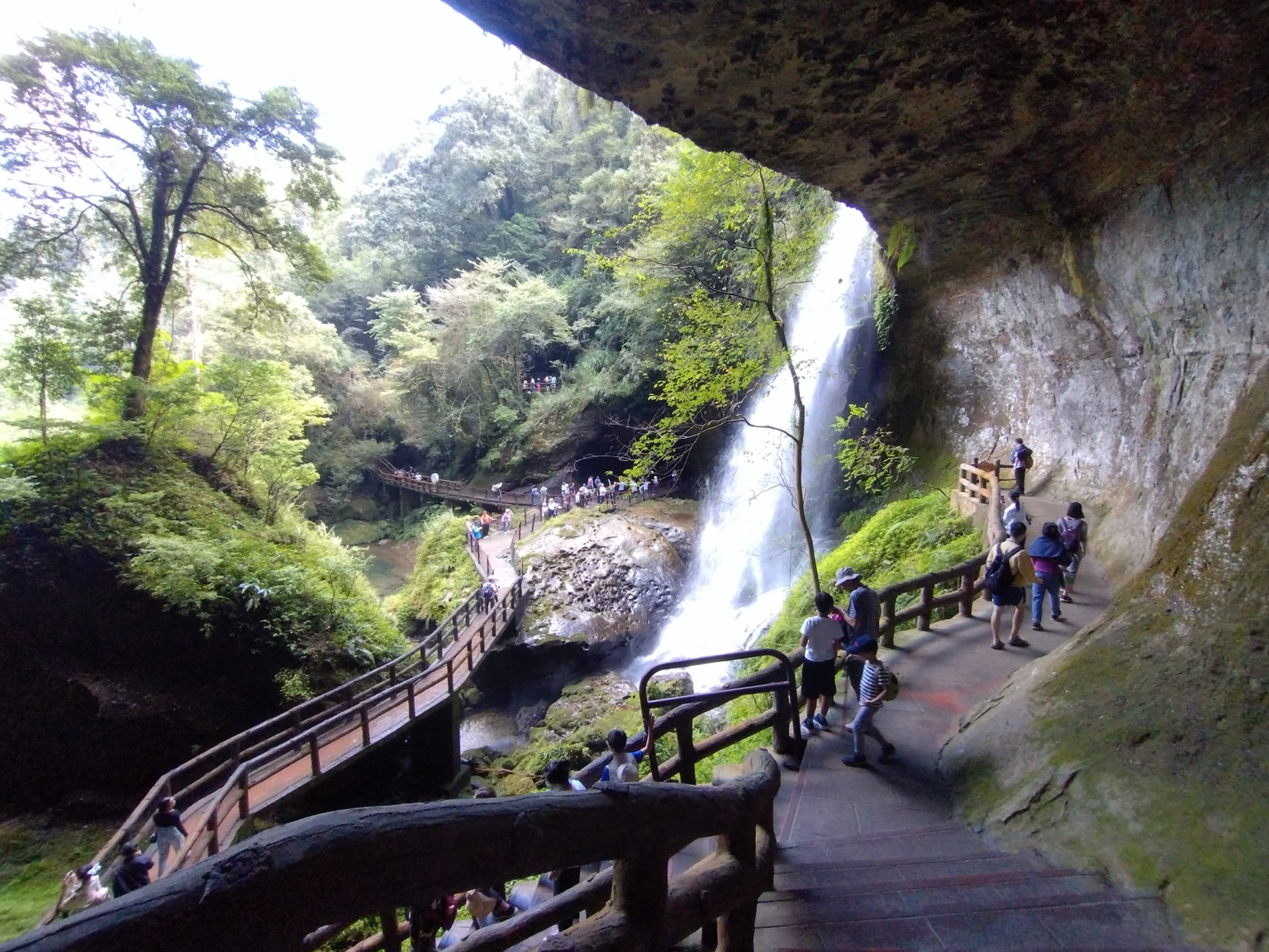 溪頭風景 3
